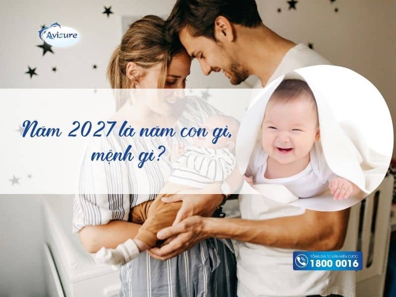 Năm 2027 là năm con gì, mệnh gì?